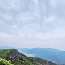 보성
