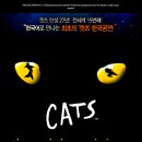 한국어로 만나는 특별한 감동 뮤지컬 "캣츠" 대구 공연 이미지