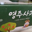 보훈복지타운 제5 정책브리핑