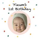 (주)동우팜투테이블 | 판교 메리어트 돌잔치 후기(스냅-로이스타일/돌상-아일린스)