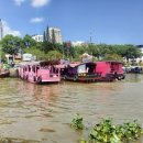 주부열창 | 껀터(Cần Thơ) 여행 3일차 : 껀터 까이랑 수상시장 투어 후기, 5시 vs 7시 출발 무엇이 다를까? (핑크...