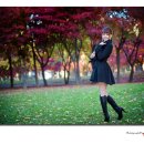 이미정 카카오 검색결과