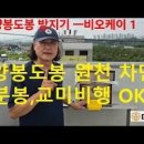 토종벌에서-양봉도봉 방지기 , 비오케이 1(BEEOK 1) 이미지