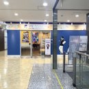 웨일산부인과의원 | 가산디지털단지역 산부인과 : 밤 10시까지 진료하는 웨일산부인과 (여자의사)
