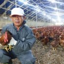 전용농장 이미지