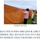 패션섬유공학과 관련된 윤리문제와 해결방안 이미지