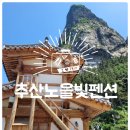 추산노을빛 | 울릉도 추산노을빛펜션 사장님이 보내준 명이나물