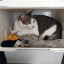 멍, 타임 이미지