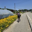 교산2리 샛마을 체육공원