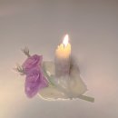 은빛동물병원 | [공지] kikichuxx 온기마켓 28