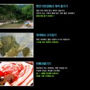 라임벨리 이미지