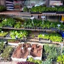 신흥농약사 이미지