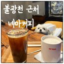 네마 | 북가좌동 네마커피 내돈내산 후기｜불광천 근처 카페, 애견동반 후기