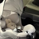 80 | 싸이벡스 토들러 카시트 제로나T 내돈내산 세탁 설치방법 정품등록 GV80 설치 후기