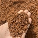 영광중기 이미지