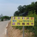 안젤라농장 이미지