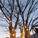 예산상회 이미지