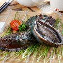 팔팔농장 이미지