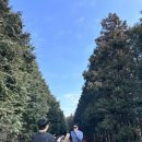 상규 목장 이미지