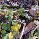 운천농장 이미지