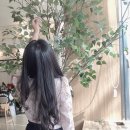 히브루즈