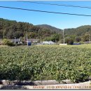 추동 마을회관 이미지