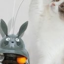 하담컴퍼니 이미지