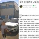 코리아 태비 태권도 이미지