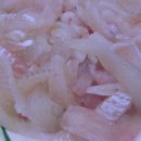 울산정자참가자미 이미지