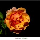 힐링하우스펜션 이미지