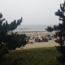 경기민박 이미지