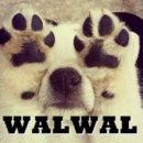 WALWAL(왈왈) 이미지