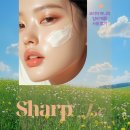 샵(sharp) | 육아에 지친 피부에 꿀을 바르다 - 30대 아기맘의 샵비(Sharp be) 솔직 사용 후기