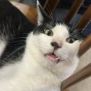 우도당구 이미지