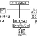 아동 9장 신생아의 건강문제 이미지