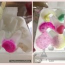 STEAM 과학실험 1-2 이미지