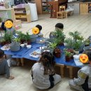 봉곡초등학교 병설유치원 이미지