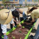 밀양아리솔학교 이미지