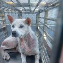 마이산다옴펜션 이미지