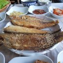 돌고래펜션민박 이미지