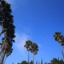 신천리해녀탈의장 이미지