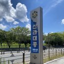 신라대학교박물관 | 나혼자 경주여행 ep.2 경주 대릉원 포토존 사진찍기, 천마총, 신라대종