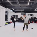 폭스 무에타이 이미지