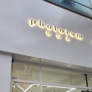 포토이즘박스포항