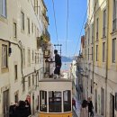 리스본 푸니쿨라와 영화 '리스본행 야간열차' 이미지