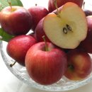 영우농원 이미지