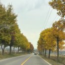 강화캐라반캠핑장 | [강화] 낙조힐링 카라반&amp;캠핑장 카라반 이용 후기 🏕️