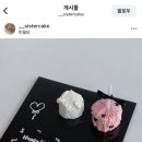 시스터케이크 - 15552 | 시스터케이크