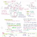 보건 및 간호 약학 합격생 생물 필기노트 이미지