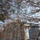 응암동 114-10 이미지